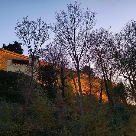 公寓 Vysehrad Flat 2 Private For Up To 4 Guests Center & Congress