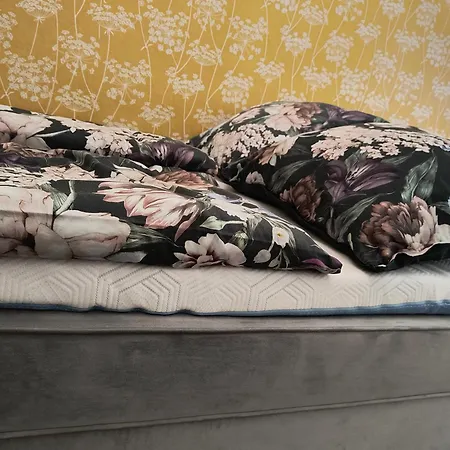 公寓 Vysehrad Flat 2 Private For Up To 4 Guests Center & Congress 布拉格